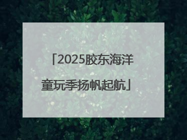 2025胶东海洋童玩季扬帆起航