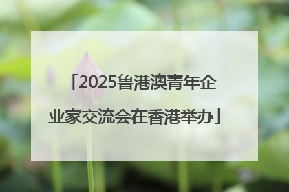 2025鲁港澳青年企业家交流会在香港举办
