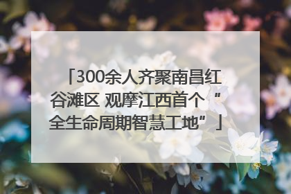 300余人齐聚南昌红谷滩区 观摩江西首个“全生命周期智慧工地”