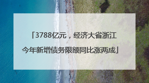 3788亿元，经济大省浙江今年新增债务限额同比涨两成