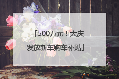 500万元！大庆发放新车购车补贴