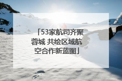 53家航司齐聚蓉城 共绘区域航空合作新蓝图