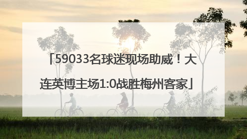 59033名球迷现场助威！大连英博主场1:0战胜梅州客家