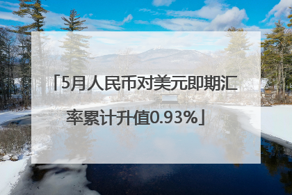 5月人民币对美元即期汇率累计升值0.93%