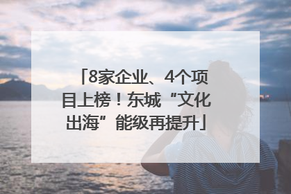 8家企业、4个项目上榜！东城“文化出海”能级再提升