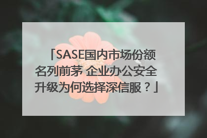 SASE国内市场份额名列前茅 企业办公安全升级为何选择深信服？